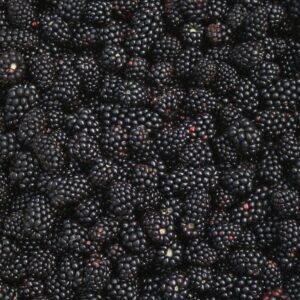 Blackberry 100% Recyclable