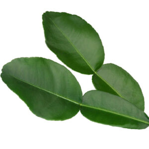 Kaffir lime leaves