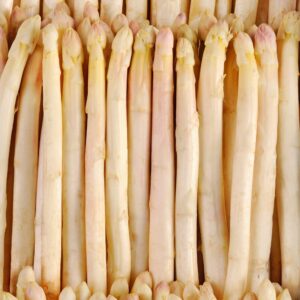 White Asparagus