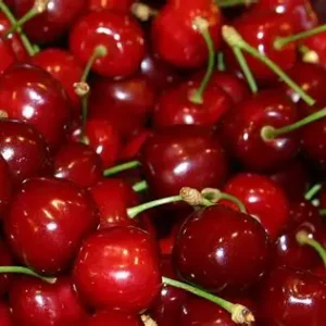 Cherries 30+ Mont Venasque