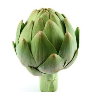 Artichoke Caste PDB 15 HEADS