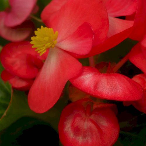 0d3b6b1e3f6e435a036d8f72aeaccebe_XL