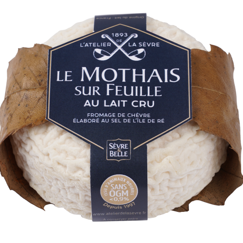 16bfa57a283452be-B465MOT