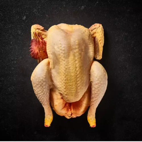 1732796173-pularda-1