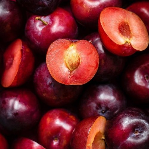 1e4ba9211ef432242f54a36031a484ec