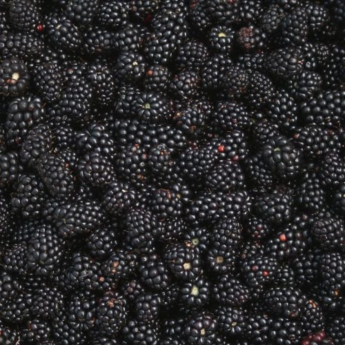 1e5ff413eaec558d8feb7c100ef99904