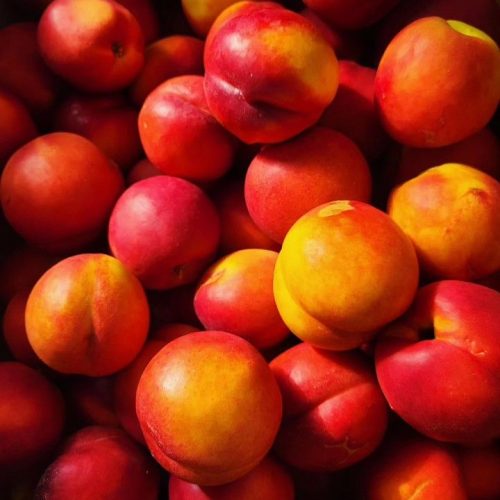 2297204b9265de02f5702a0f78fcfb9a