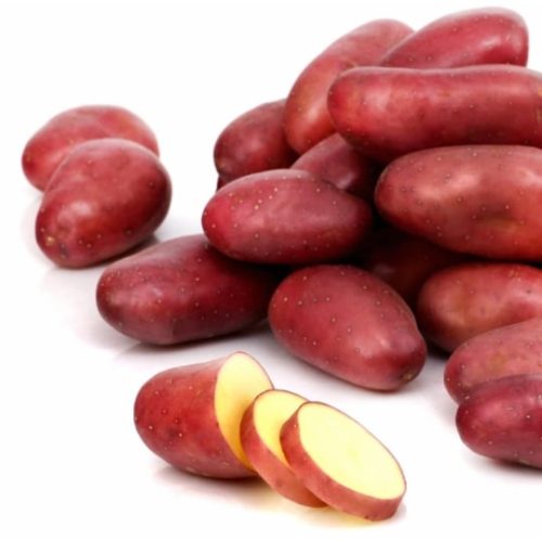 3276554591340-photosite-20150617-162709-0