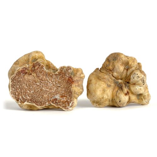 36261-0w0h0_Truffes_Blanche_Alba_Fraiches_Tuber_Magnatum_Pico