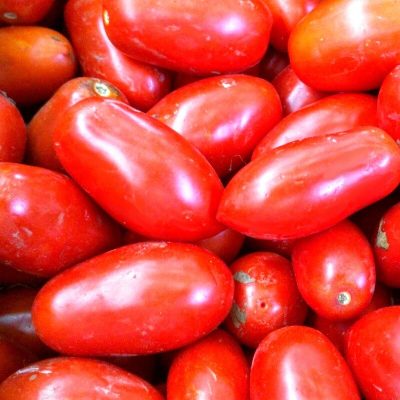 3767-Tomate-Rouge-San-Marzano-Graines