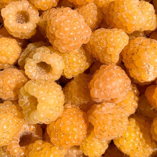 4e3e6b9dce98f55e990f417cf6153d4d