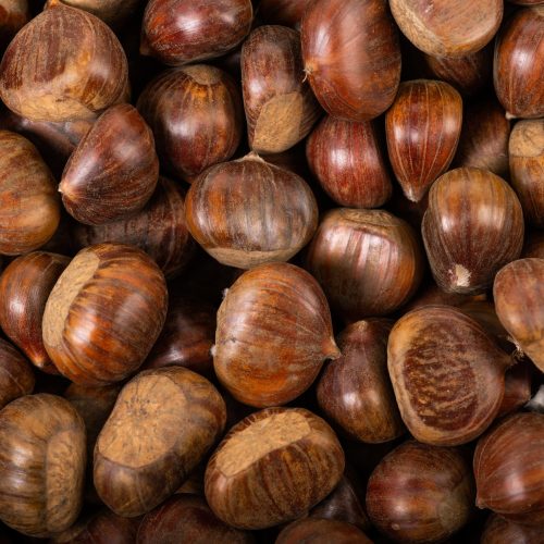 6012_Marrons-Italie-2-scaled