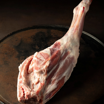 6fa59664445a00f8a92e461c97ec