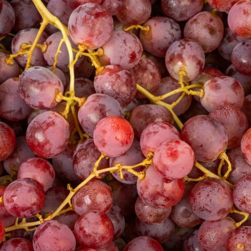 7712_Raisin-Red-Globe-1920x1080