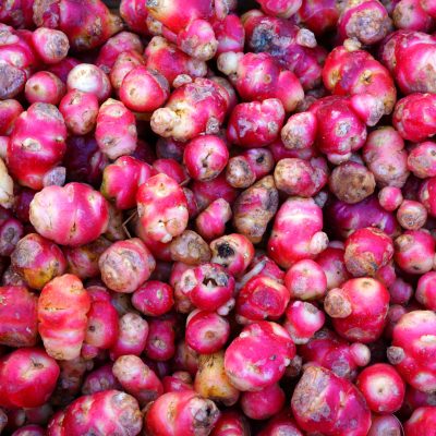 Colorful red and yellow roots of oca tuber from Peru (Oxalis tuberosa) at a French farmers market