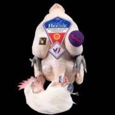 DFE16AC1-15B3-412C-AA81-992C0070D1B9