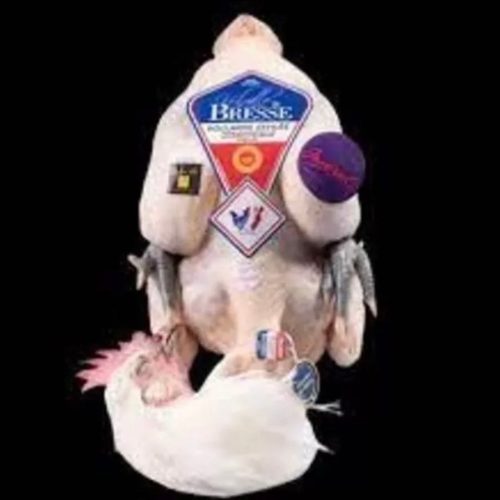 DFE16AC1-15B3-412C-AA81-992C0070D1B9