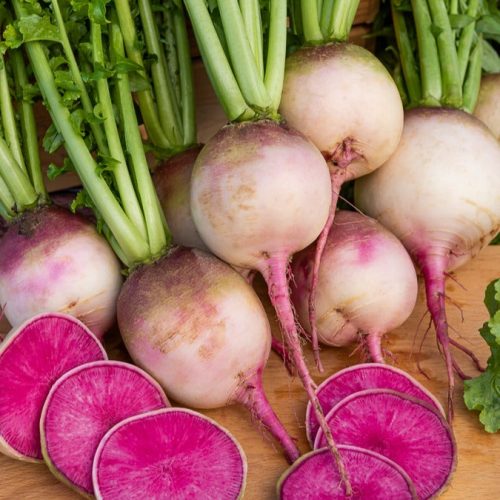 HOR_011624_1_1714033783009_675x