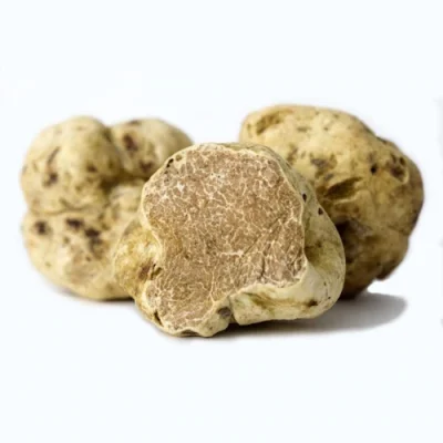 Latruffesblanche_720x