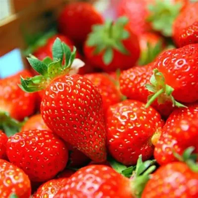 OIP2ly1OGXs2bMhemmu6sJ5SgHaHa