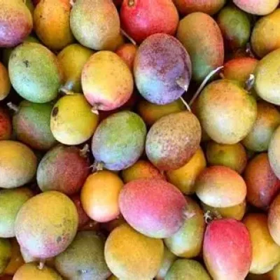 OIPwKMlQVDYiMmfSQK2jOy6jwHaE8