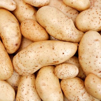 Sans-titre-2021-11-12T093508.583