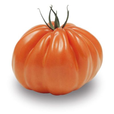 Tomate-coeur-de-boeuf-1