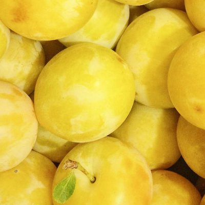 a291ba10c1b19e2732d5baccdd329cfe