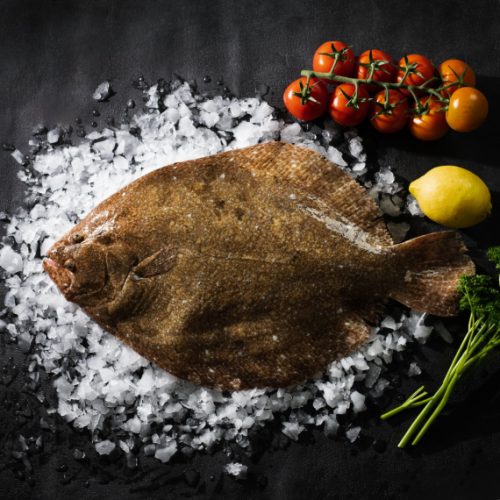 barbue-piece-de-12kg