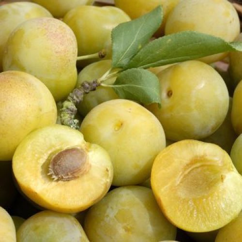 bc7061e0ad4e4b1d22ce624a45b340a7