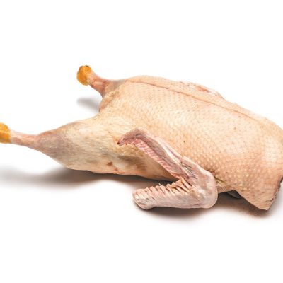 canard_gras__039898500_1354_13122017