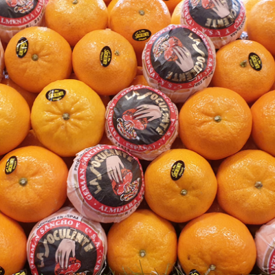 cca4dcca-b7be-4e55-8822-a644d872b45e