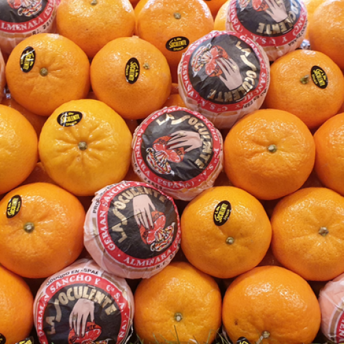 cca4dcca-b7be-4e55-8822-a644d872b45e