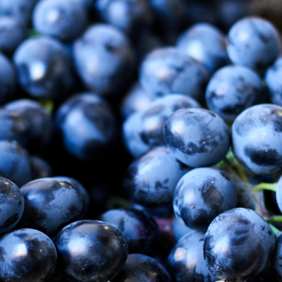 ff8048ed-f96f-46c5-8f24-6bf2f03ad29f