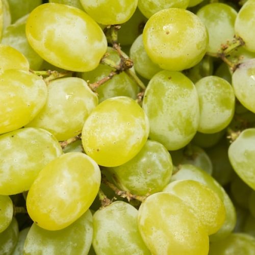green-grape-macro_29136-1025