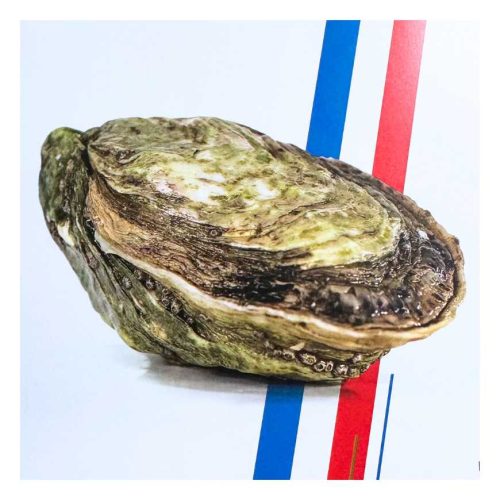 huitres-gillardeau