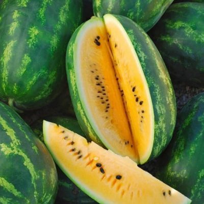 pasteque-mountain-sweet-yellow-graines-pasteque-jaune-watermelon-seeds