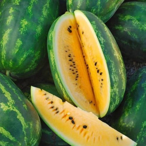 pasteque-mountain-sweet-yellow-graines-pasteque-jaune-watermelon-seeds