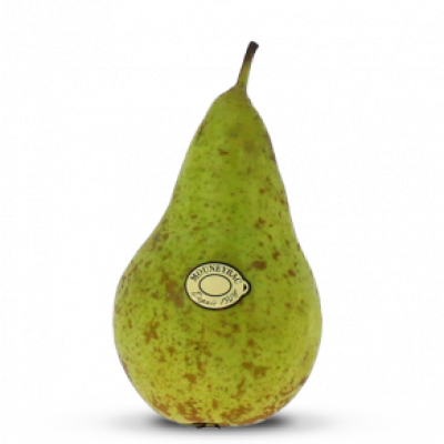 poi_Conference_mea-300x292