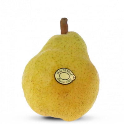 poi_Williams_mea-300x292