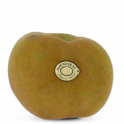 pom_Canada-Gris_mea-300x292