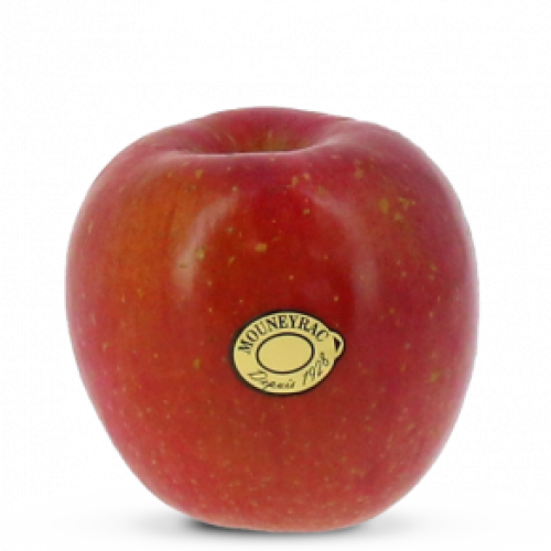 pom_Fuji_mea-300x292