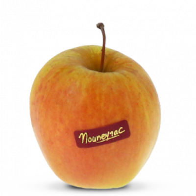 pom_Golden-Rosee_mea-300x292