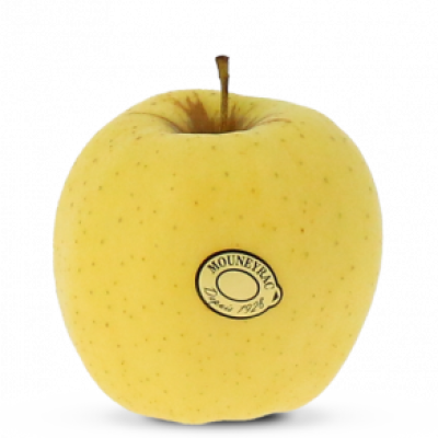 pom_Golden_mea-300x292