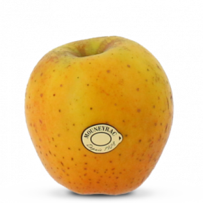 pom_Goldrush_mea-300x292