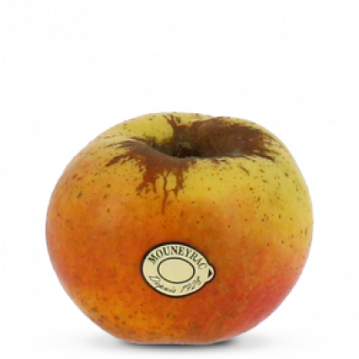 pom_Reinette-d-Armorique_mea-300x292