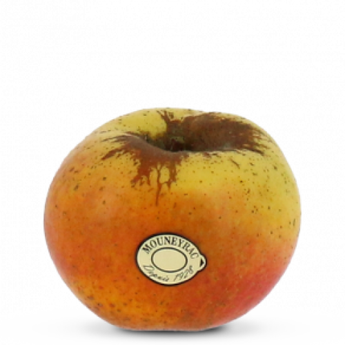 pom_Reinette-d-Armorique_mea-300x292