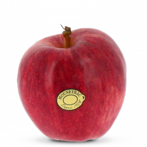 pom_Royal-Gala_mea-300x292