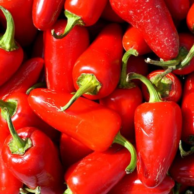 red-jalapeno-peppers-katy-hawk